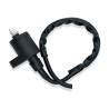 Bobines d'allumage Scooters Gilera Nexus 250 i.e Nc - Raven Industries RAV-470-001