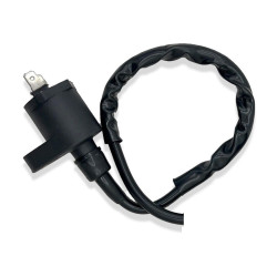 Bobines d'allumage Scooters Gilera Runner 50  Nc - Raven Industries RAV-470-001