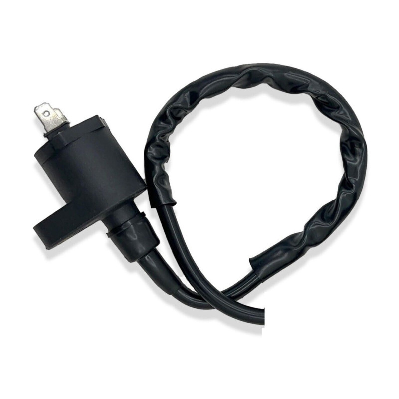 Bobines d'allumage Scooters Piaggio Fly 125  Nc - Raven Industries RAV-470-001