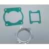 Pochette de joint haut moteur Quads Yamaha Blaster 200  810811 - Raven Industries RAV-430-033