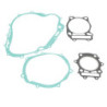 Pochette de joint moteur complet Motos Suzuki DR 350  808584 - Raven Industries RAV-420-014
