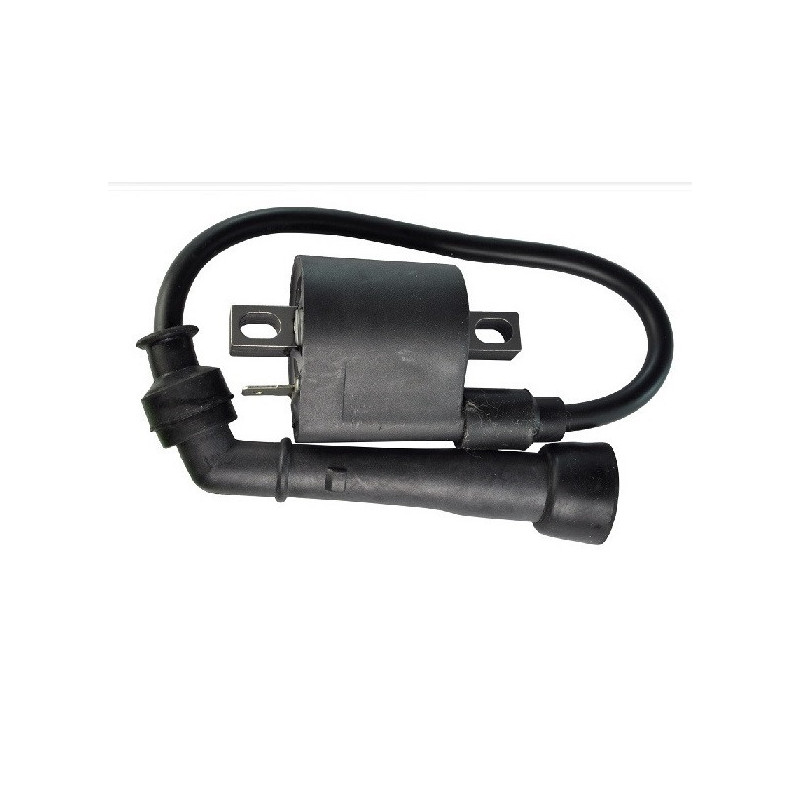 Bobines d'allumage Motos Suzuki DR-Z 400  Nc - Raven Industries RAV-470-002