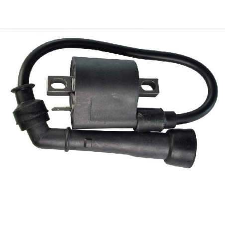Bobines d'allumage Motos Suzuki DR-Z 400  Nc - Raven Industries RAV-470-002