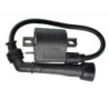Bobines d'allumage Motos Suzuki DR-Z 400  Nc - Raven Industries RAV-470-002