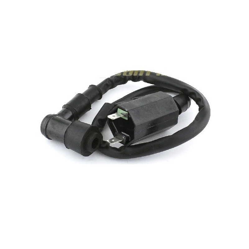 Bobines d'allumage Motos Suzuki DR 200  Nc - Raven Industries RAV-470-008