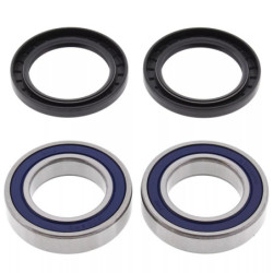 Kit roulement moyeu arrière Quads Suzuki LT-R 250 QuadRacer  Nc - Raven Industries RAV-610-005