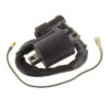 Bobines d'allumage Quads Honda ATC 110  30510-167-003 - Raven Industries RAV-470-013