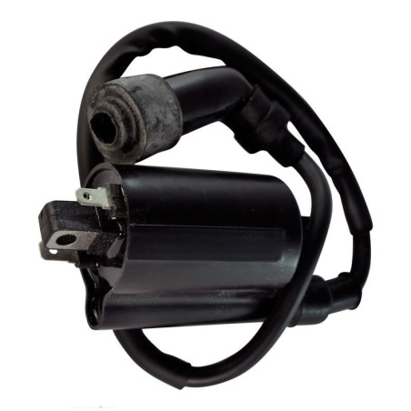 Bobines d'allumage Motos Yamaha XV 250 V-star Virago 2UJ-82310-01-00 - Raven Industries RAV-470-015