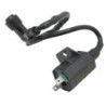 Bobines d'allumage Quads Kawasaki KVF 400 Prairie  21121-1198 - Raven Industries RAV-470-016