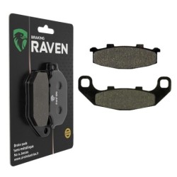 Plaquettes de frein Kawasaki EX 500 S E1-E10 Av Ga ou Av Dr 43082-1085 - EBC FA141 - Raven 100-044
