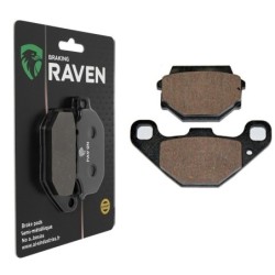 Plaquettes de frein Quadzilla ST 200 Speed Manual Arrière Nc - EBC FA67/2 - Raven 100-086