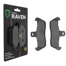 Plaquettes de frein Aprilia RX 125  Avant Nc - EBC FA163 - Raven 100-089