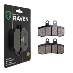Plaquettes de frein Aprilia Pegaso 650  Avant 9022001000 - EBC FA177 - Raven 100-105