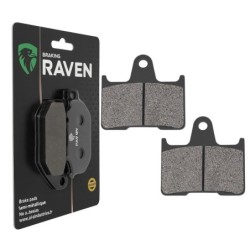 Plaquettes de frein Suzuki GSF 650 Bandit sans ABS Arrière Nc - EBC FA254 - Raven 100-148