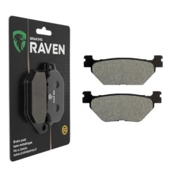 Plaquettes de frein Yamaha TDM 900  Arrière 59C-25806-00 - EBC FA319/2 - Raven 100-165