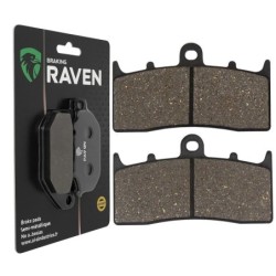 Plaquettes de frein Bmw K 1300 R  Av Ga ou Dr 34117658386 - EBC FA294HH - Raven 100-194