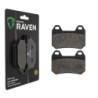Plaquettes de frein Bmw R 1200 CL Arrière 34217680375 - EBC FA304 - Raven 100-195