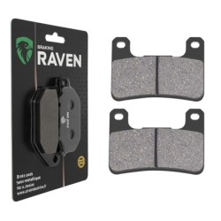 Plaquettes de frein Kawasaki SX 1000 Ninja SX Tourer Av Ga ou Av Dr 43082-0091 - EBC FA379 - Raven 100-213
