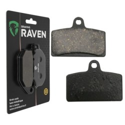 Plaquettes de frein Peugeot XR7 50 Naked Avant Nc - EBC FA399 - Raven 100-233