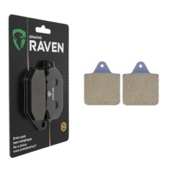 Plaquettes de frein Polaris Big Boss 400 L 6X6 Frein parking 2200806 2200807 - EBC FA273R - Raven 100-236