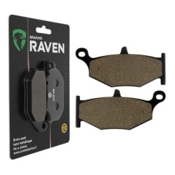 Plaquettes de frein Suzuki DL 1000 V-Strom  Arrière 69100-15850 - EBC FA419 - Raven 100-241