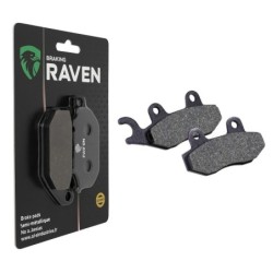 Plaquettes de frein Triumph Bonneville 865  Arrière T2020191 - EBC FA214/2 - Raven 100-247