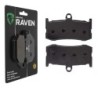 Plaquettes de frein Triumph Daytona 675  Av Ga ou Dr T2021221 - EBC FA491 - Raven 100-296