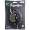 Plaquettes de frein Polaris RZR 170  Arrière 0454444 - EBC FA489 - Raven 100-337