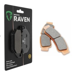 Plaquettes de frein Kawasaki Teryx4 KRX 1000  Av Ga ou Dr 43082-0196 -  - Raven 100-412