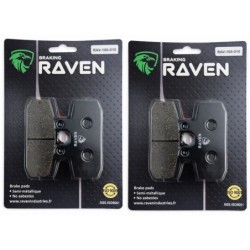 2 Kit plaquettes frein Aprilia Sportcity 250 Cube ie Av Ga et Dr Nc - EBC FA113 - Raven 101-010