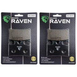 2 Kit plaquettes frein Triumph Daytona 1200  Av Ga et Dr Nc - EBC FA145 236 - Raven 101-017