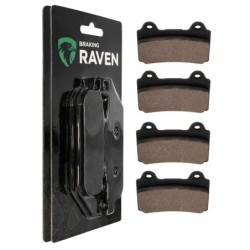 2 Kit plaquettes frein Yamaha TRX 850  Av Ga et Av Dr Nc - EBC FA123 - Raven 101-073