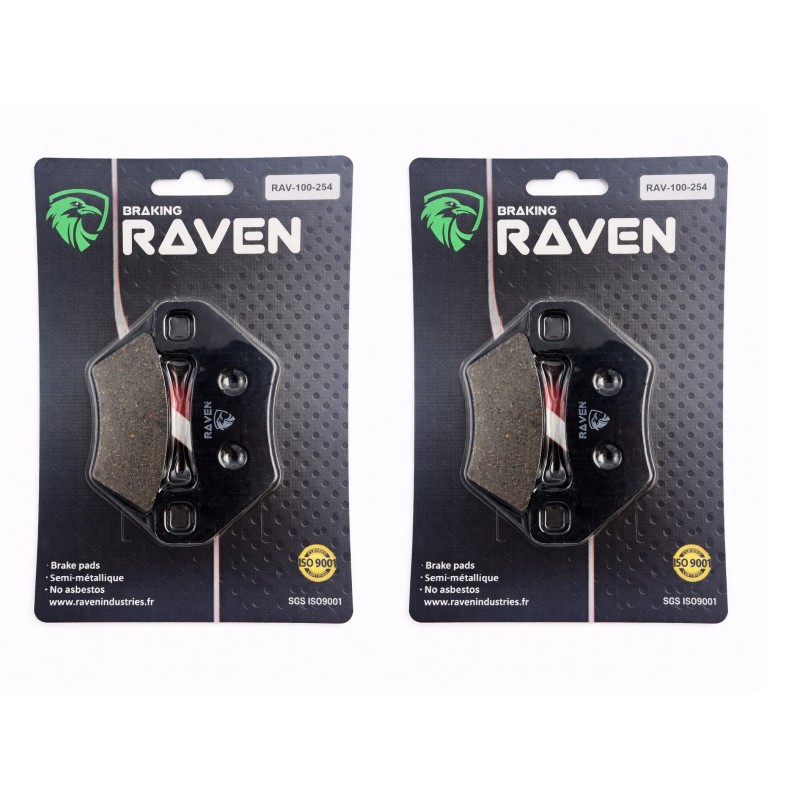 2 Kit plaquettes frein Arctic-cat 400 FIS TBZ TVR VP Av Ga et Dr Nc - EBC FA395 - Raven 101-254