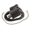Bobines d'allumage Motos Yamaha TT-R 250  29U-82310-41-00 - Raven Industries RAV-470-013
