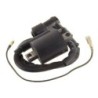 Bobines d'allumage Motos Yamaha TTR 250  29U-82310-41-00 - Raven Industries RAV-470-013