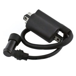 Bobines d'allumage Motos Yamaha XV 250 Route 66 v-star Virago Nc - Raven Industries RAV-470-010