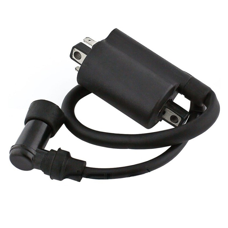 Bobines d'allumage Motos Yamaha XV 250 Route 66 v-star Virago Nc - Raven Industries RAV-470-010