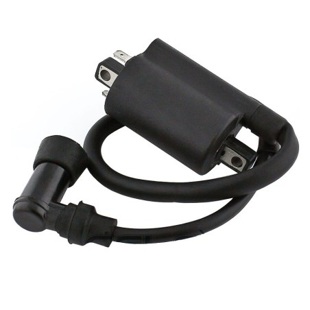 Bobines d'allumage Motos Yamaha XV 250 Route 66 v-star Virago Nc - Raven Industries RAV-470-010