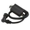 Bobines d'allumage Motos Yamaha XV 250 Route 66 v-star Virago Nc - Raven Industries RAV-470-010