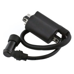 Bobines d'allumage Motos Yamaha XV 250 Route 66 v-star Virago Nc - Raven Industries RAV-470-010