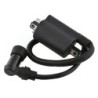 Bobines d'allumage Motos Yamaha XV 250 Route 66 v-star Virago Nc - Raven Industries RAV-470-010