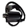 Bobines d'allumage Motos Yamaha XV 250 V-star Virago 2UJ-82310-01-00 - Raven Industries RAV-470-015