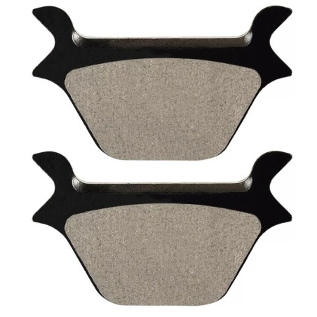 Plaquettes de frein Harley-davidson Dyna Low Rider FXDL Arrière 44209-87 - EBC FA200 - Raven 100-056