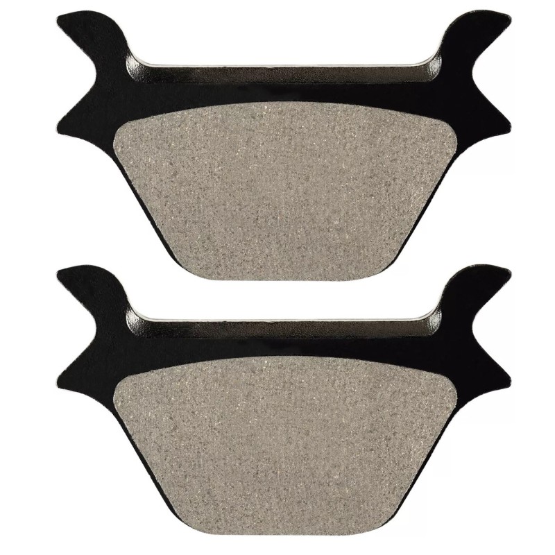 Plaquettes de frein Harley-davidson Sportster 1200 XLH Arrière 44209-87C - EBC FA200 - Raven 100-056