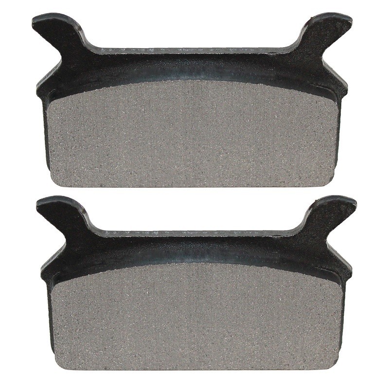 Plaquettes de frein Harley-davidson Touring Ultra FLHTCU Arrière 43957-86 - EBC FA201 - Raven 100-063