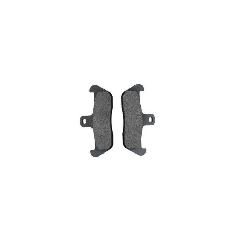Plaquettes de frein Aprilia Tuareg 600  Avant Nc - EBC FA163 - Raven 100-089