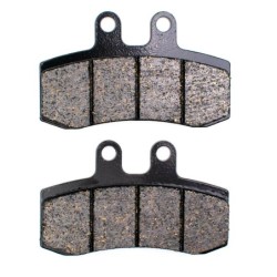 Plaquettes de frein Aprilia Pegaso 650  Avant 9022001000 - EBC FA177 - Raven 100-105