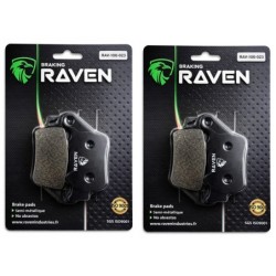 2 Kit plaquettes frein Triumph Daytona 765 Moto 2 Av Ga et Av Dr Nc - EBC FA142 - Raven 101-023