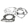Pochette de joint moteur complet Quads Yamaha Raptor 660 yfm Nc - Raven Industries RAV-420-002