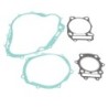 Pochette de joint moteur complet Motos Suzuki DR 350  808584 - Raven Industries RAV-420-014